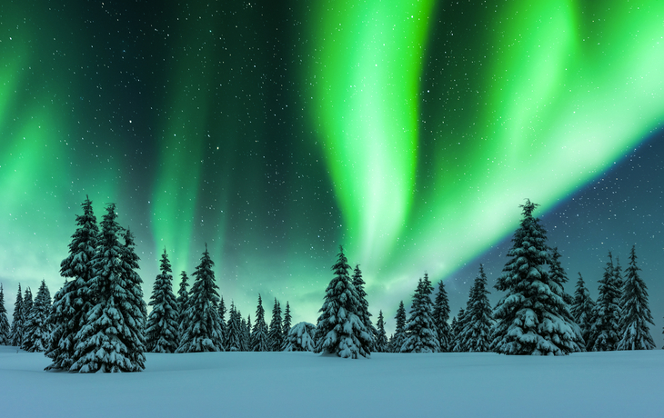 Nordlichter im Winterwald