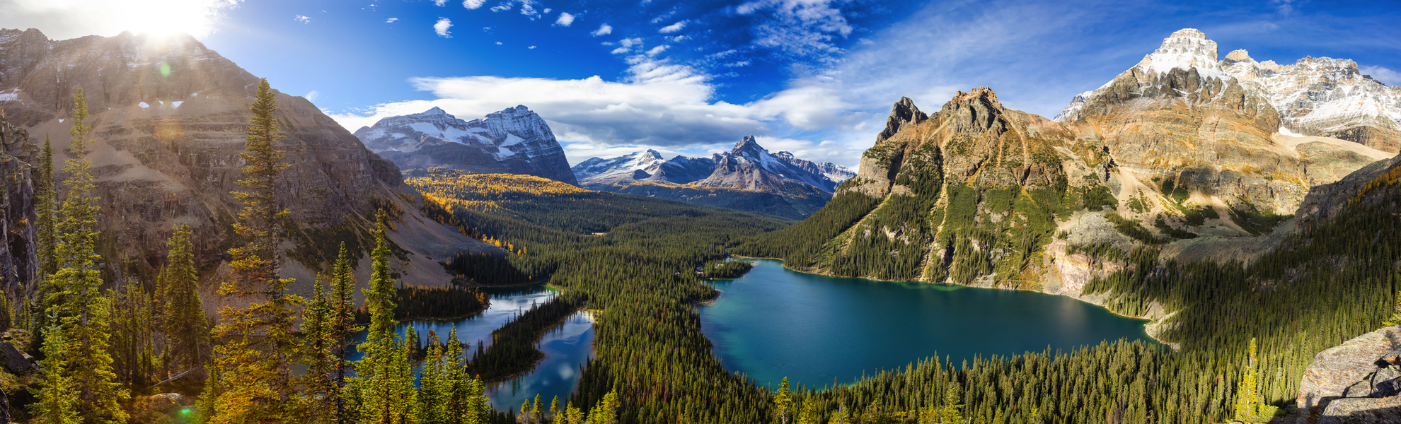 Gebirgssee Lake O?Hara in den Höhenlagen des Yoho-Nationalparks