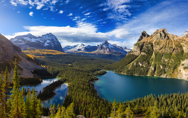 Gebirgssee Lake O?Hara in den Höhenlagen des Yoho-Nationalparks