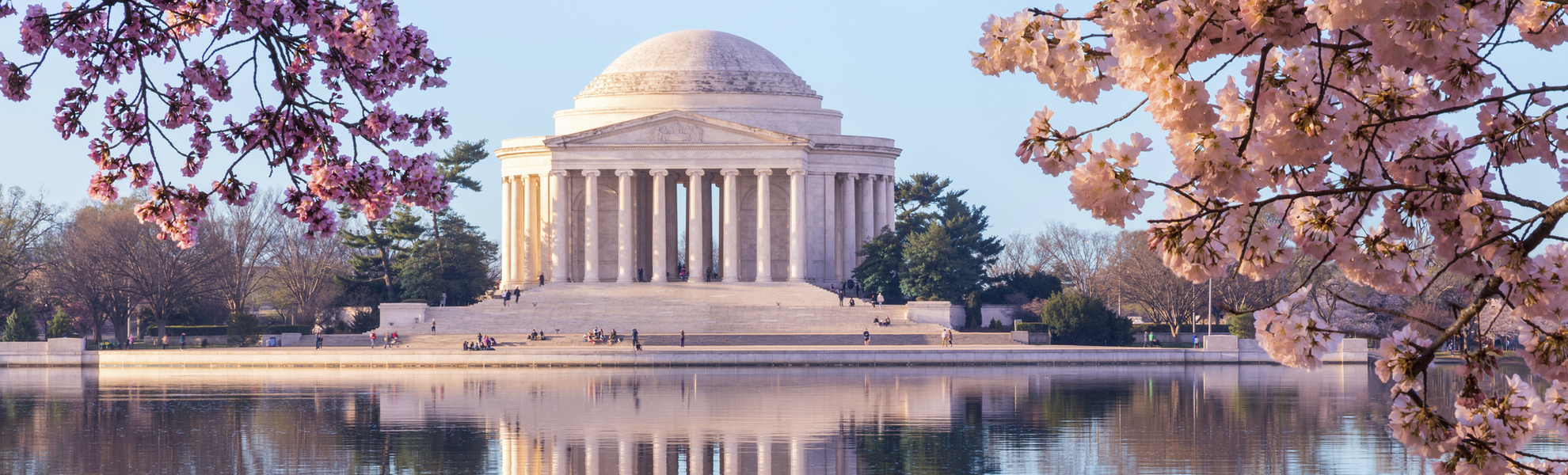 Beautiful early morning Jefferson Memorial with cherry blossoms