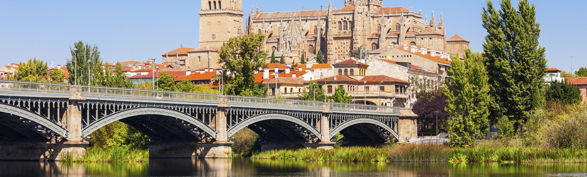 Salamanca Cathedral in Salamanca, Spain